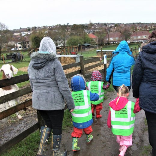 Bristol Preschool Farm Visit