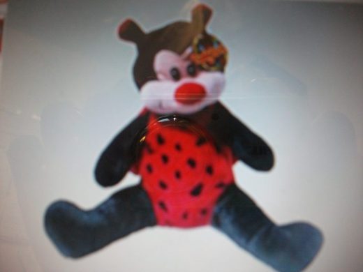 Courtney the Ladybird
