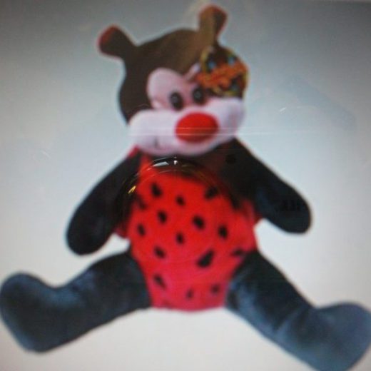 Courtney the Ladybird