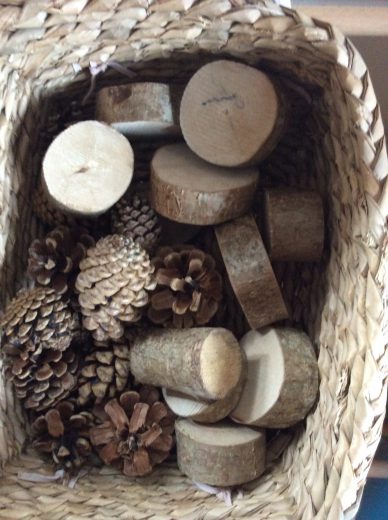 Pine Cones Preschool Kingswood